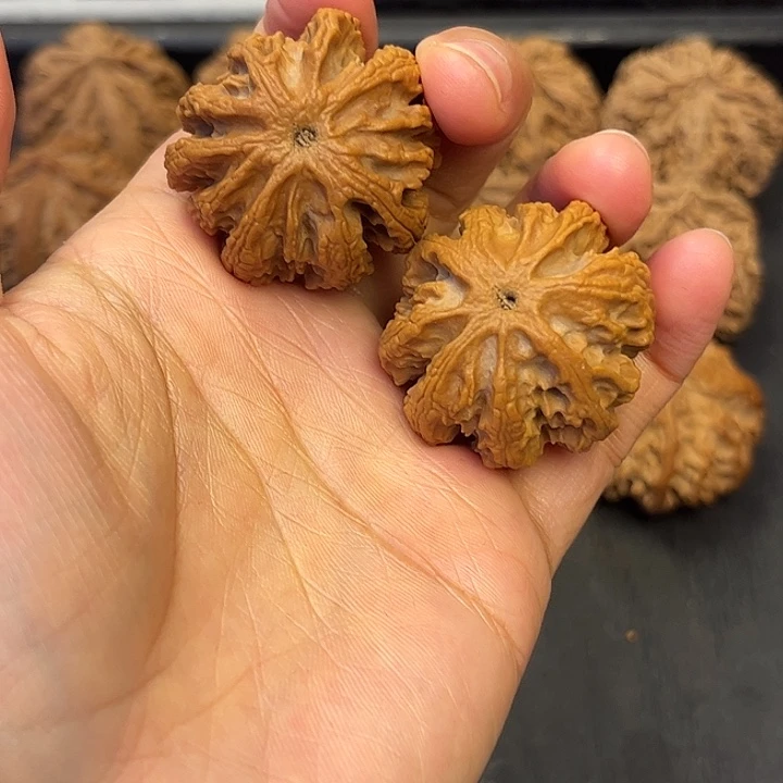 核桃秦岭突突突突突突突43