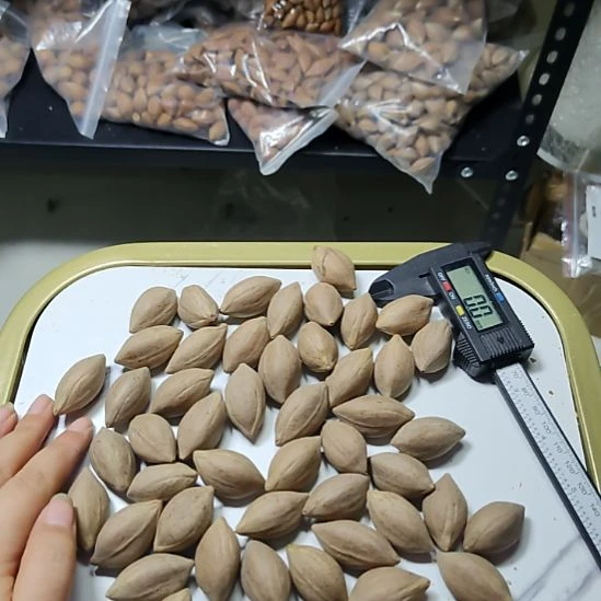 福***飞吊坠橄榄核大尺寸散籽