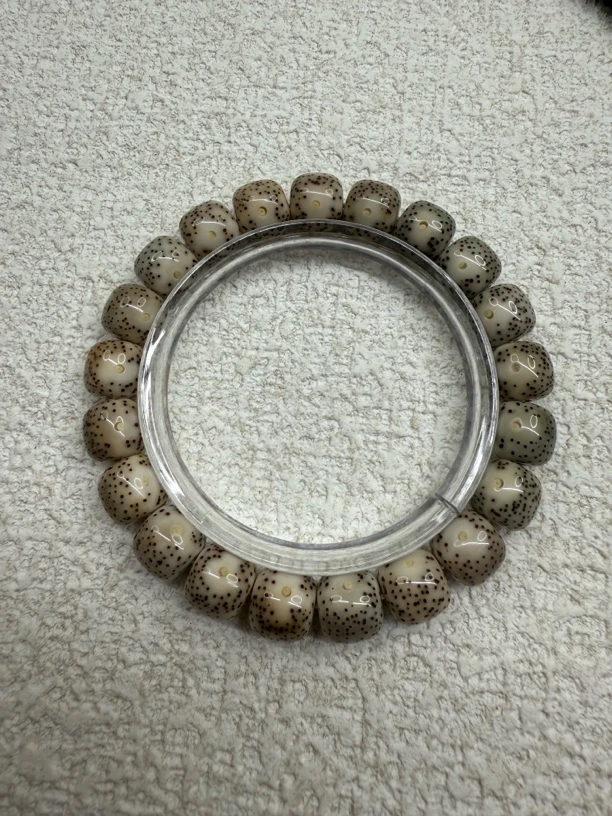 海南原生态星月菩提21