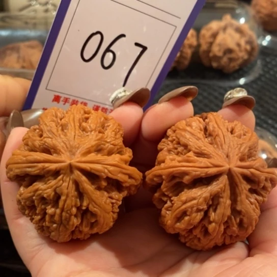 吊坠文玩核桃067粗筋47尺