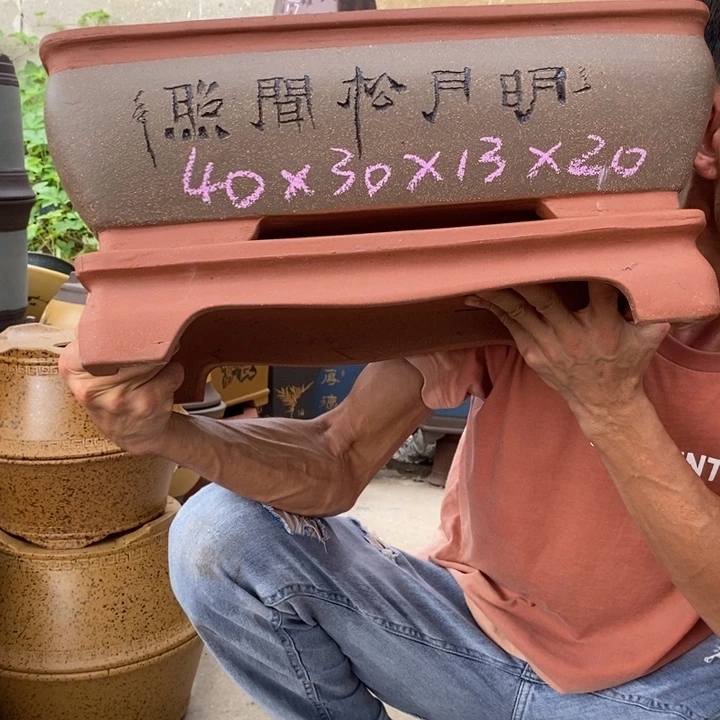 紫砂紫砂紫砂紫砂