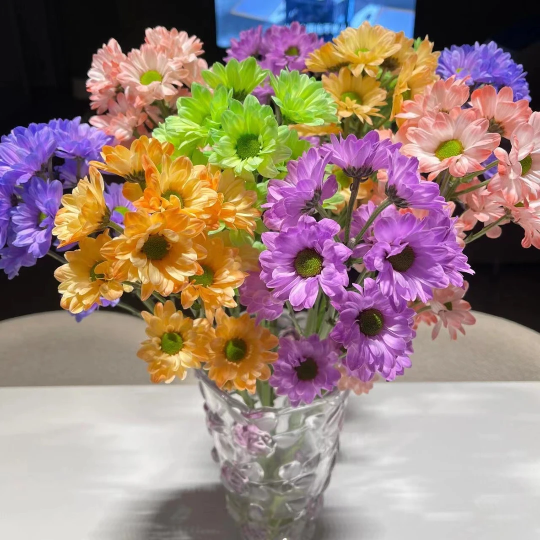 【年宵花】混搭吸色小雏菊10枝