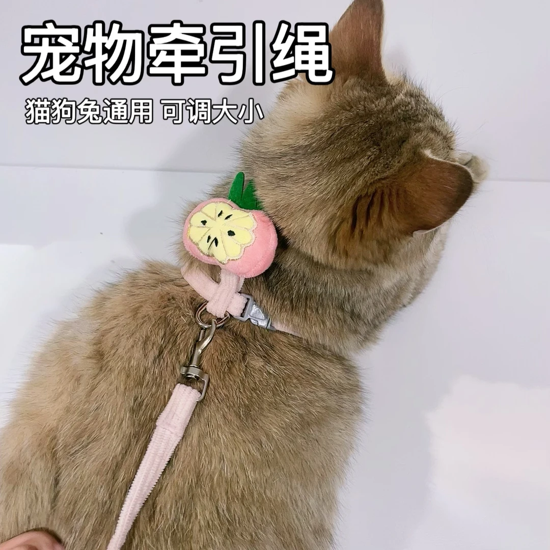 猫咪牵引绳防挣脱外出专用结实绳溜猫链子宠物胸背带猫绳子可调节