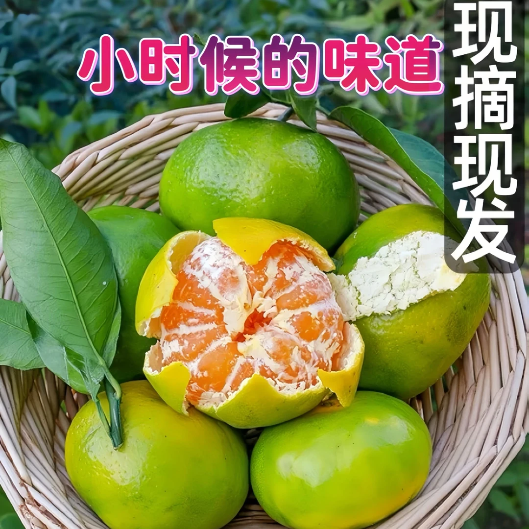 【助力专属】湖北宜昌蜜桔鲜甜橘子无籽新鲜现摘蜜橘当季水果桔子