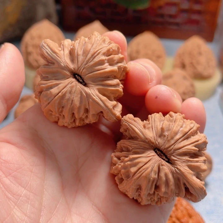 马***匪40尺寸四座楼狮子头骨质好