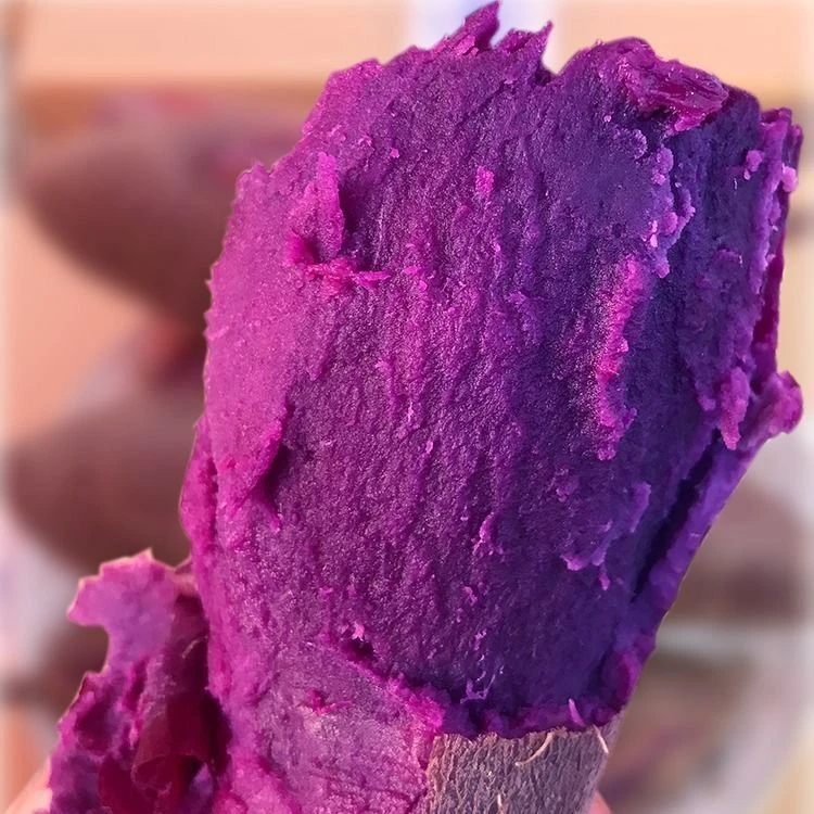 2025新鲜紫薯-香甜软糯 紫罗兰紫薯小紫薯紫山芋地瓜番薯