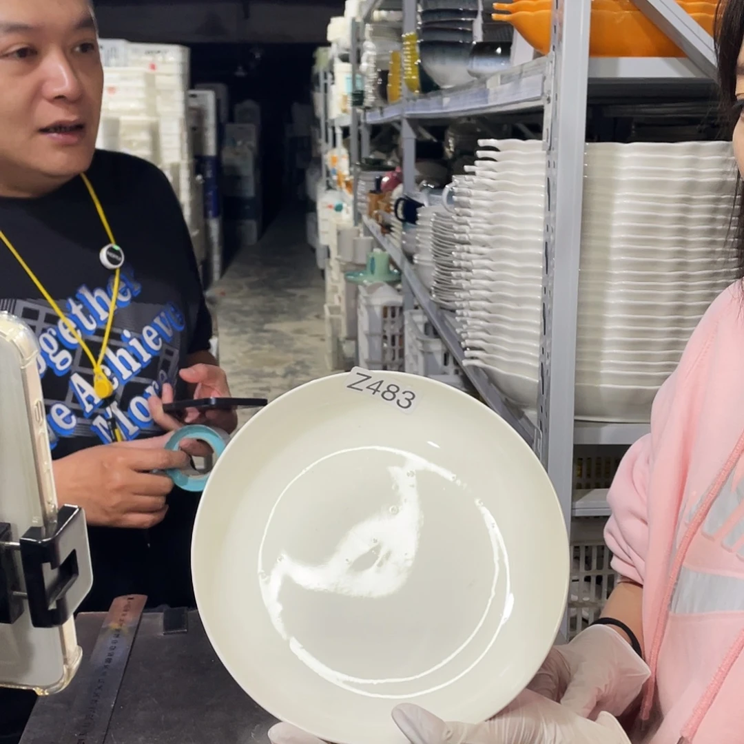 瓷片483                 2个