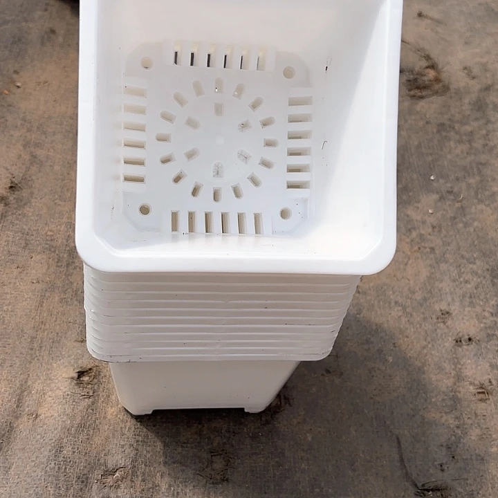 140白方盆13公分高10公分20个