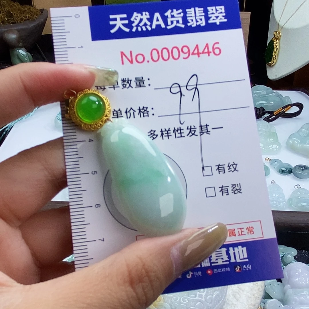 翡翠未镶嵌颈饰 9446