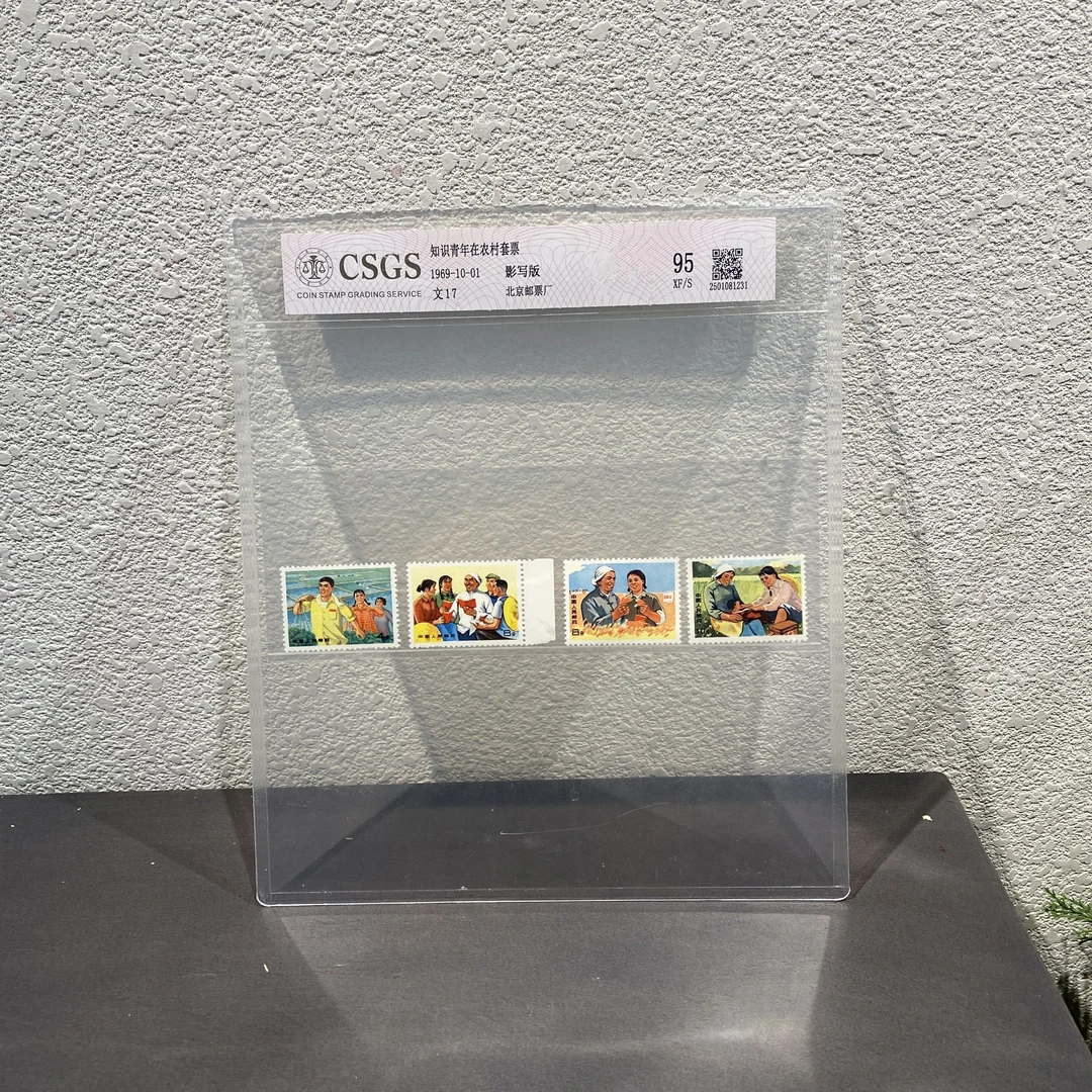 文17 知识青年在农村（不含白边） 1969年发行 集邮评级封装包邮