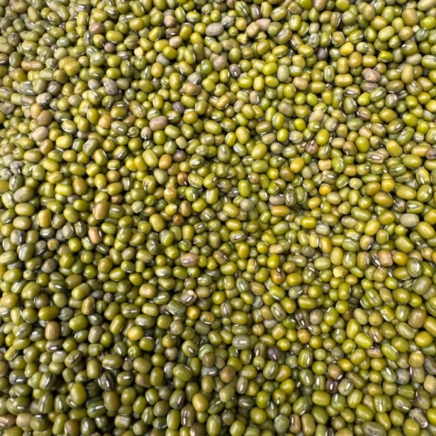 中缅农品-小绿豆