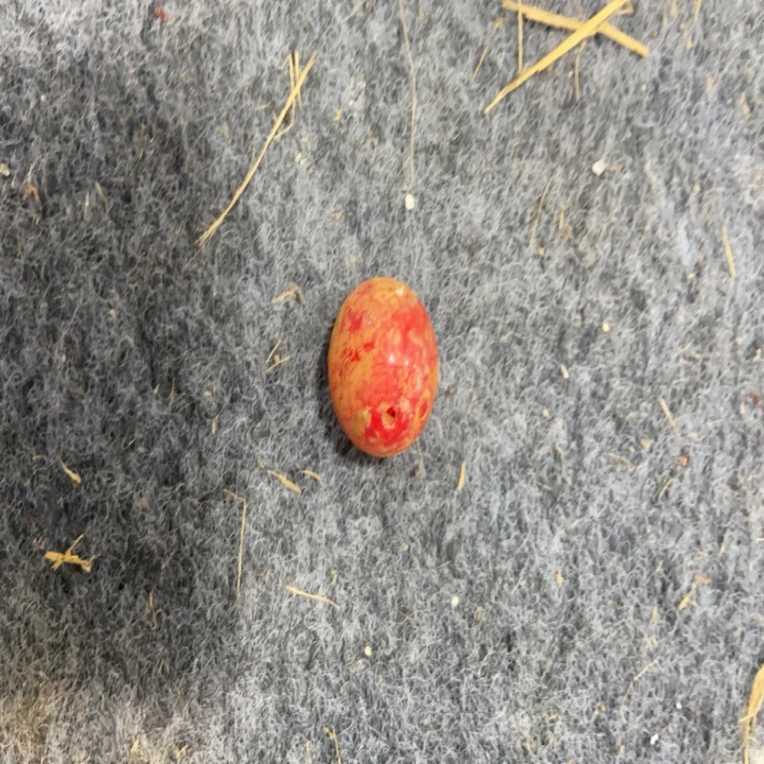 琉璃珠子，唐风格