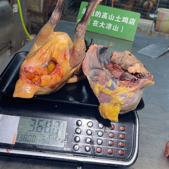 包装一号土鸡中国大陆?**?