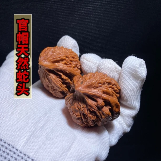 官帽蛇 天然异形 金典带勾子蛇头 全品 性价比超高 推荐款