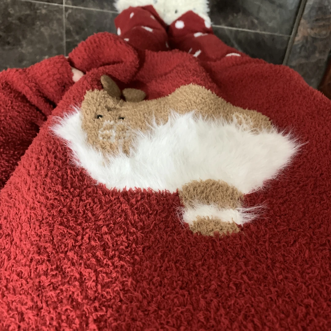 侘町2025年新款红色圣诞房子冬季半边绒长袖睡衣女加绒家居服套装