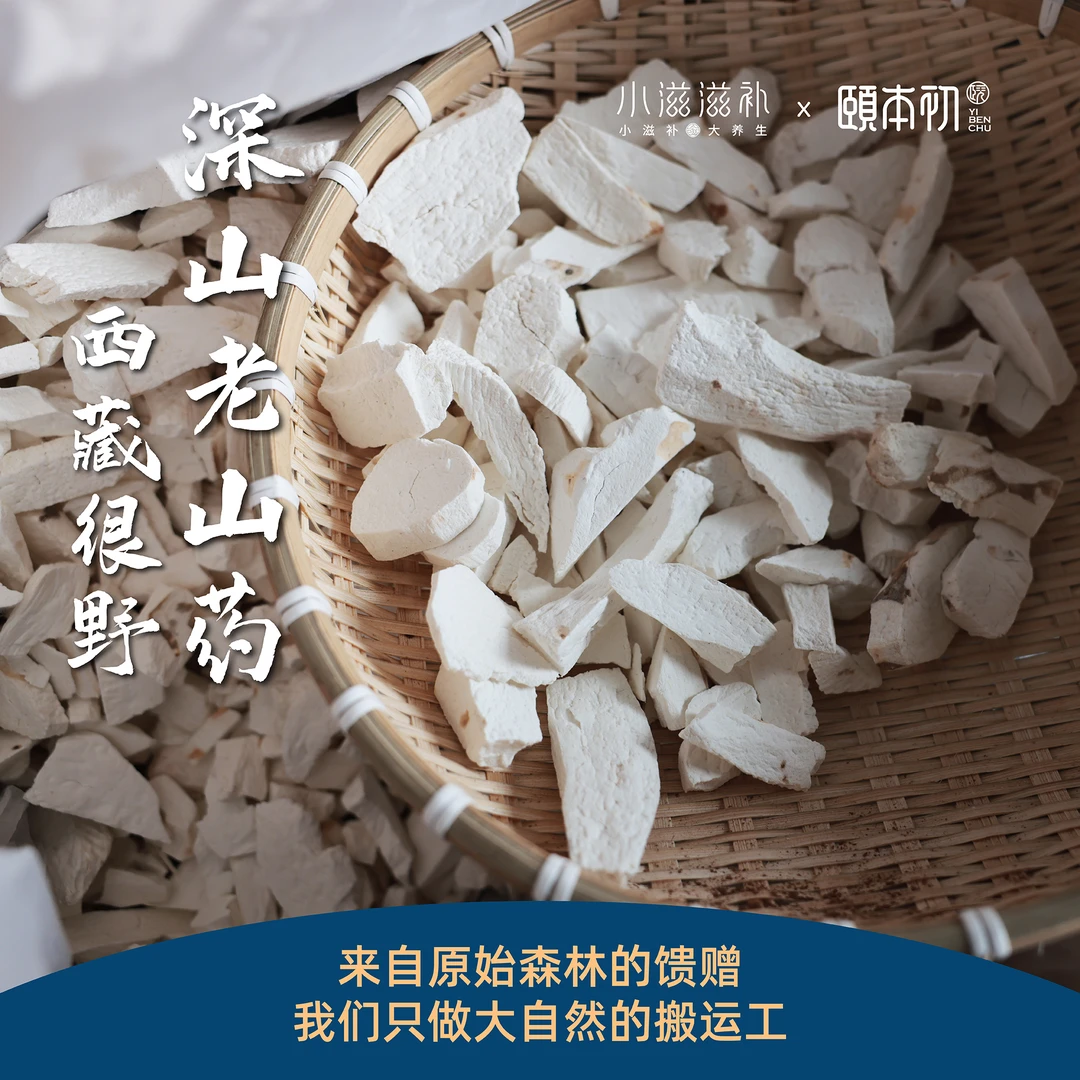【西藏很野】墨脱 深山老山药 来自原始森林的馈赠 可煲汤可煮水