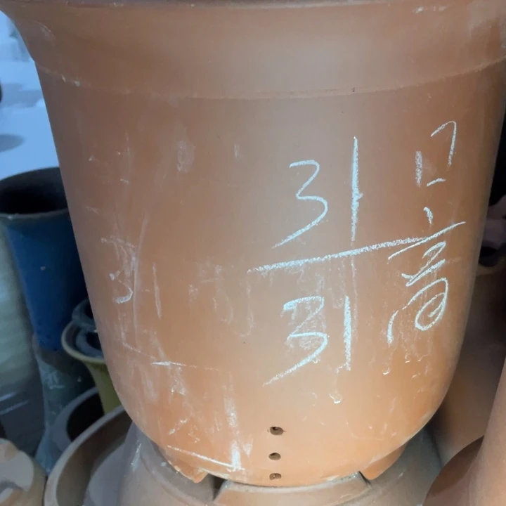 说着说着实在是自始至终