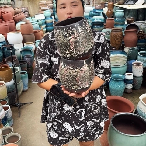 口16高20两个盆子。