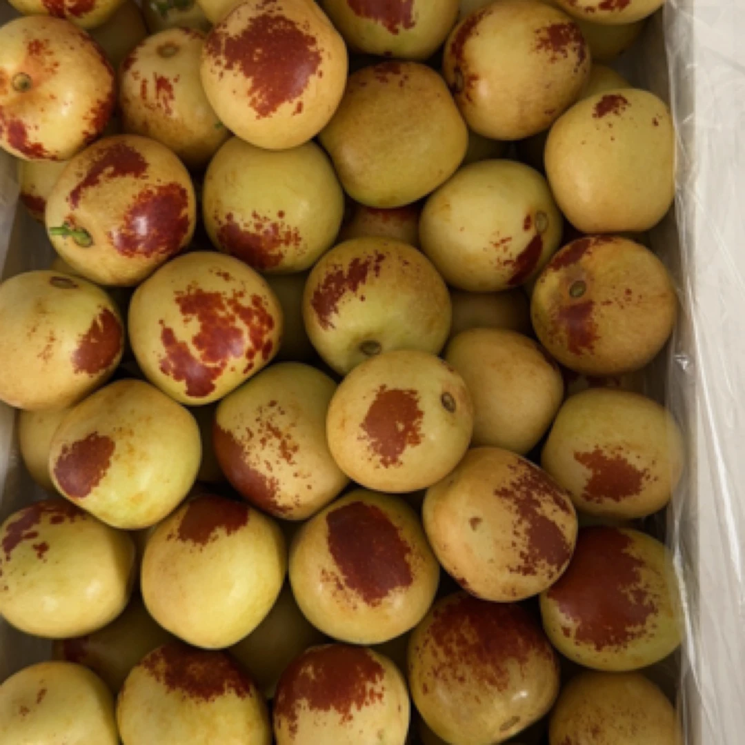 馋郡【顺丰快递】陕西大荔冬枣酥脆甜现摘现发净重3/5斤