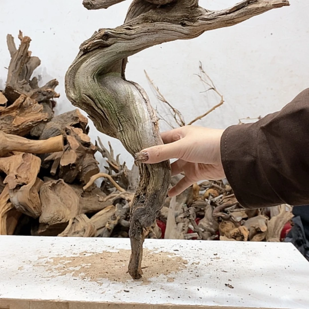 【闪购商品】柏木轩**龙我们都是好孩子