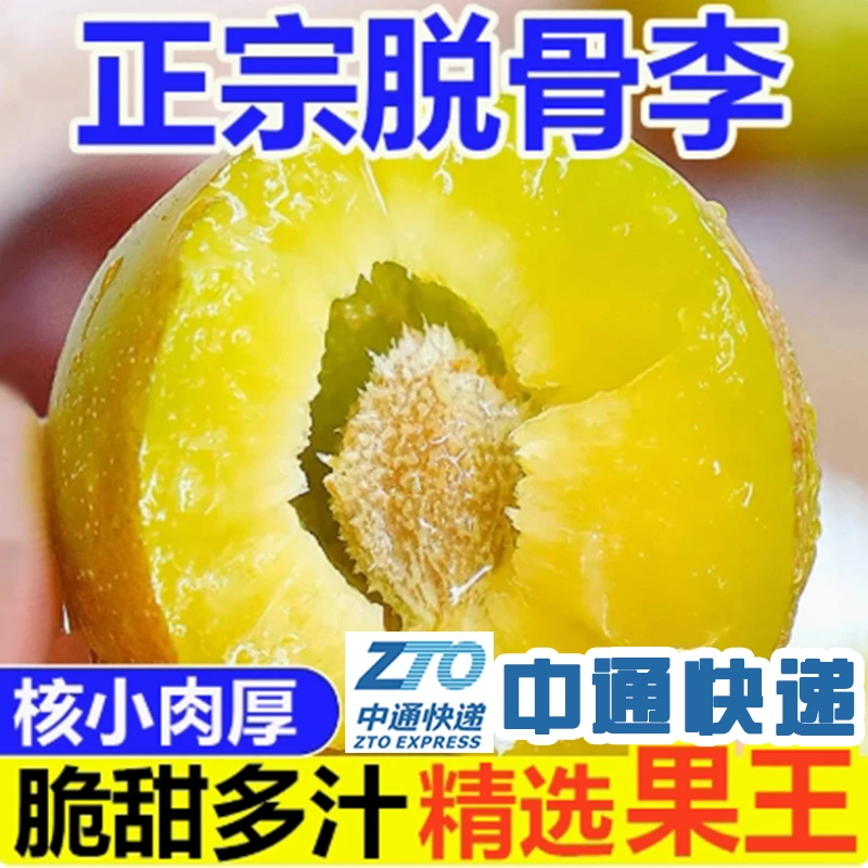 正宗脆李脱骨李子新鲜李青脆李孕妇水果当季整箱水果脆李包邮