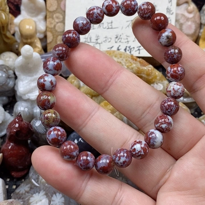 颈饰未镶嵌硅化珊瑚（珊瑚玉）