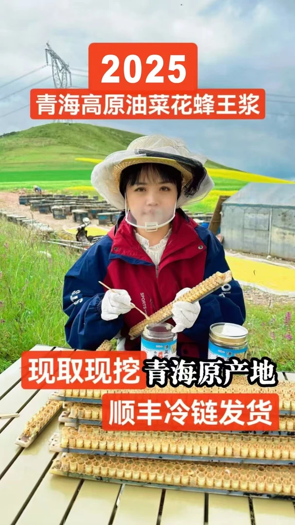 【买10赠2高原蜂王浆】2025年青海高原油菜花浆蜂农自产天然皇浆
