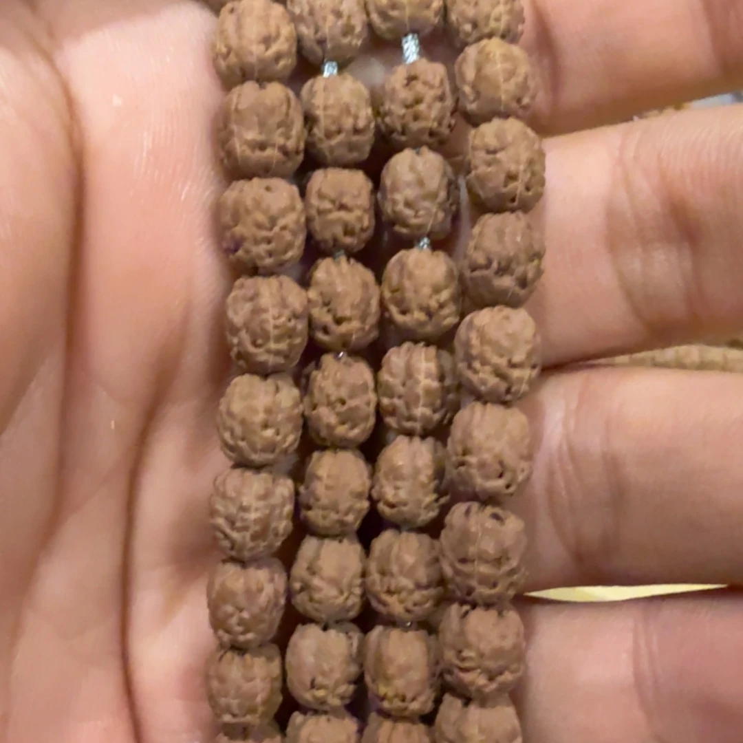 手串金刚菩提原装佛手