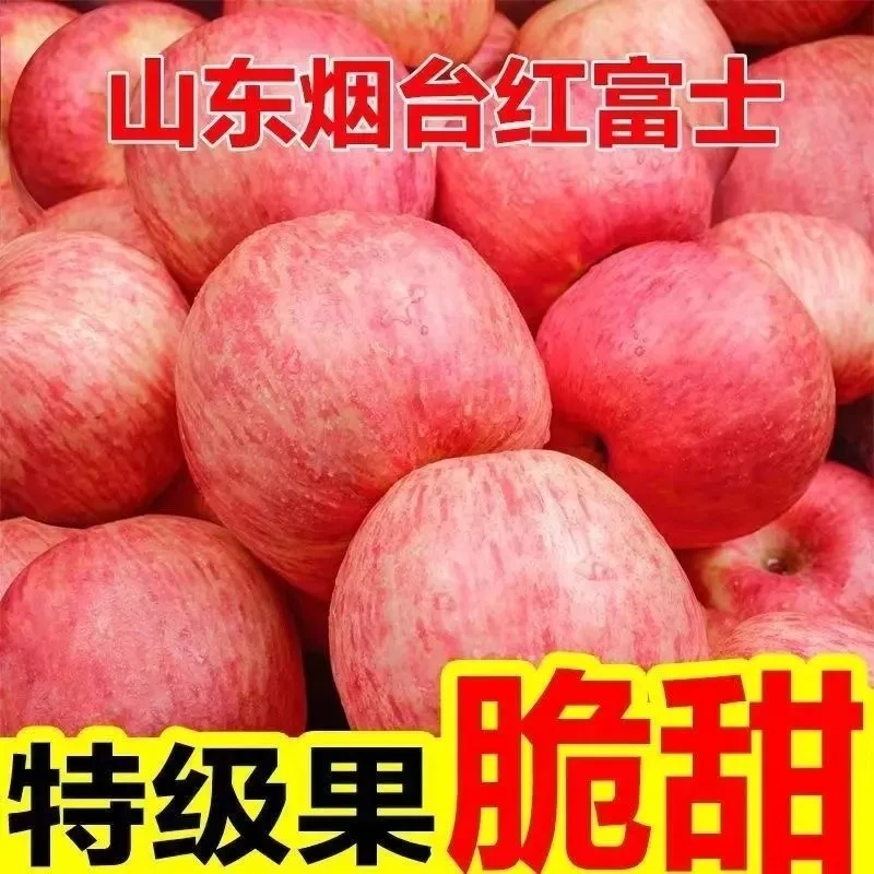 【明日达】正宗山东红富士特级苹果新鲜当季水果产地直发脆甜冰糖整箱g80mm-90mm新鲜苹果山东省