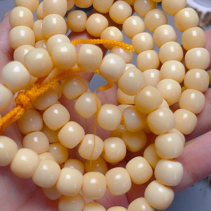 大果紫檀（缅甸花梨）