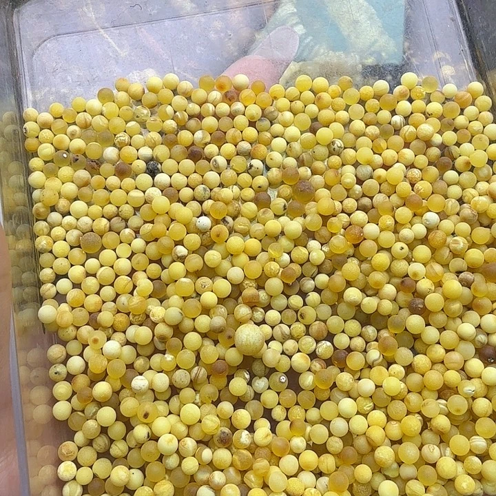 非金属意臻珠宝天然手串