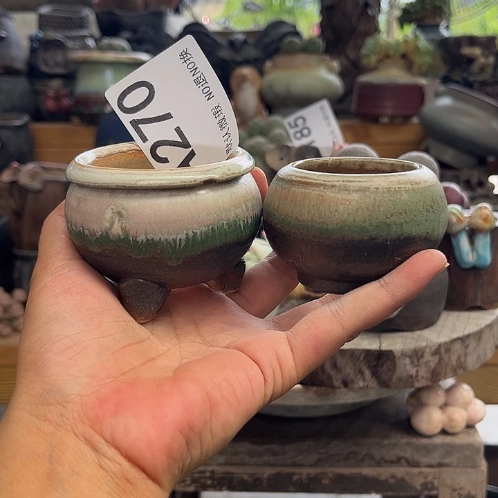 重庆小燕子欢迎大家270
