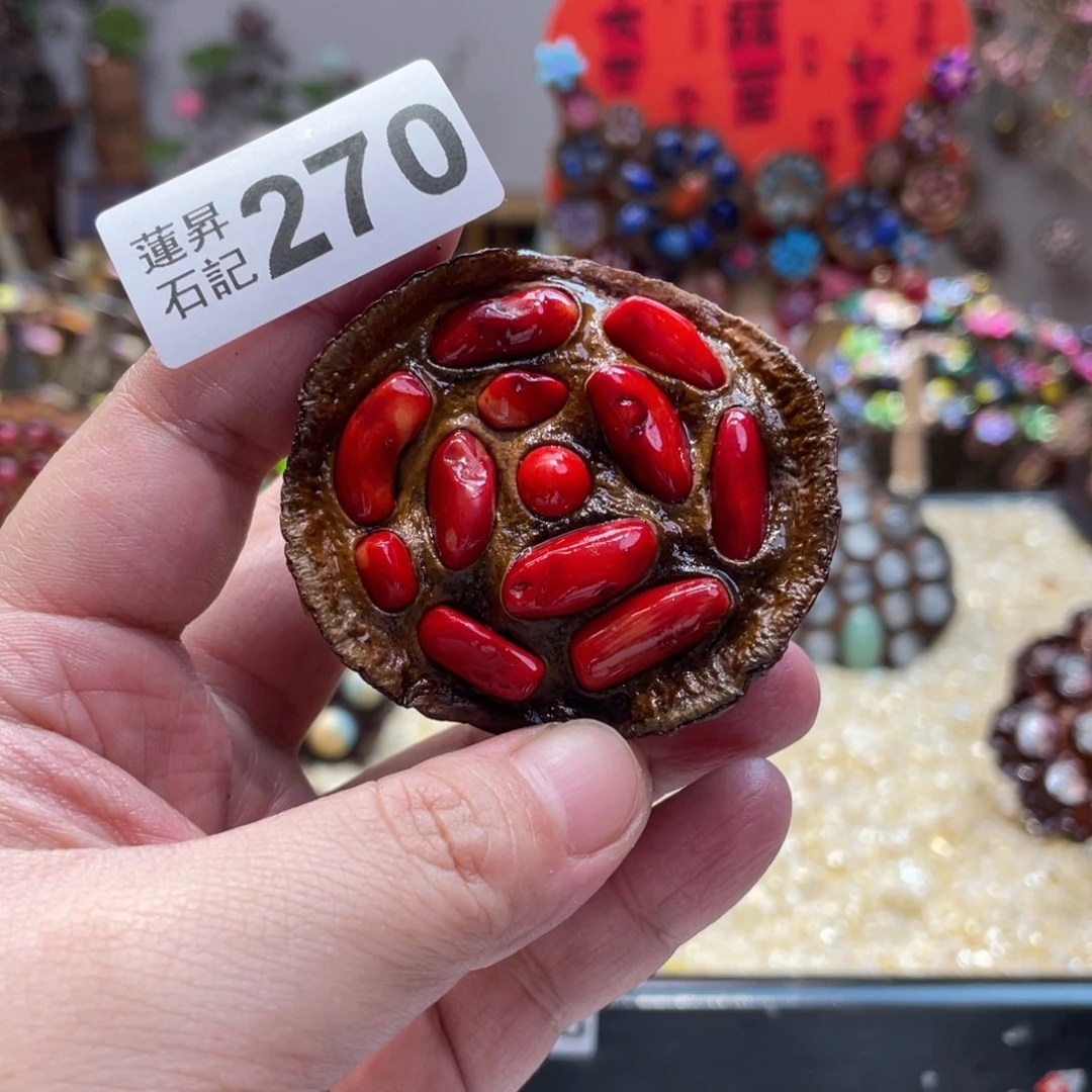 核桃木/黑胡桃（胡桃木）270