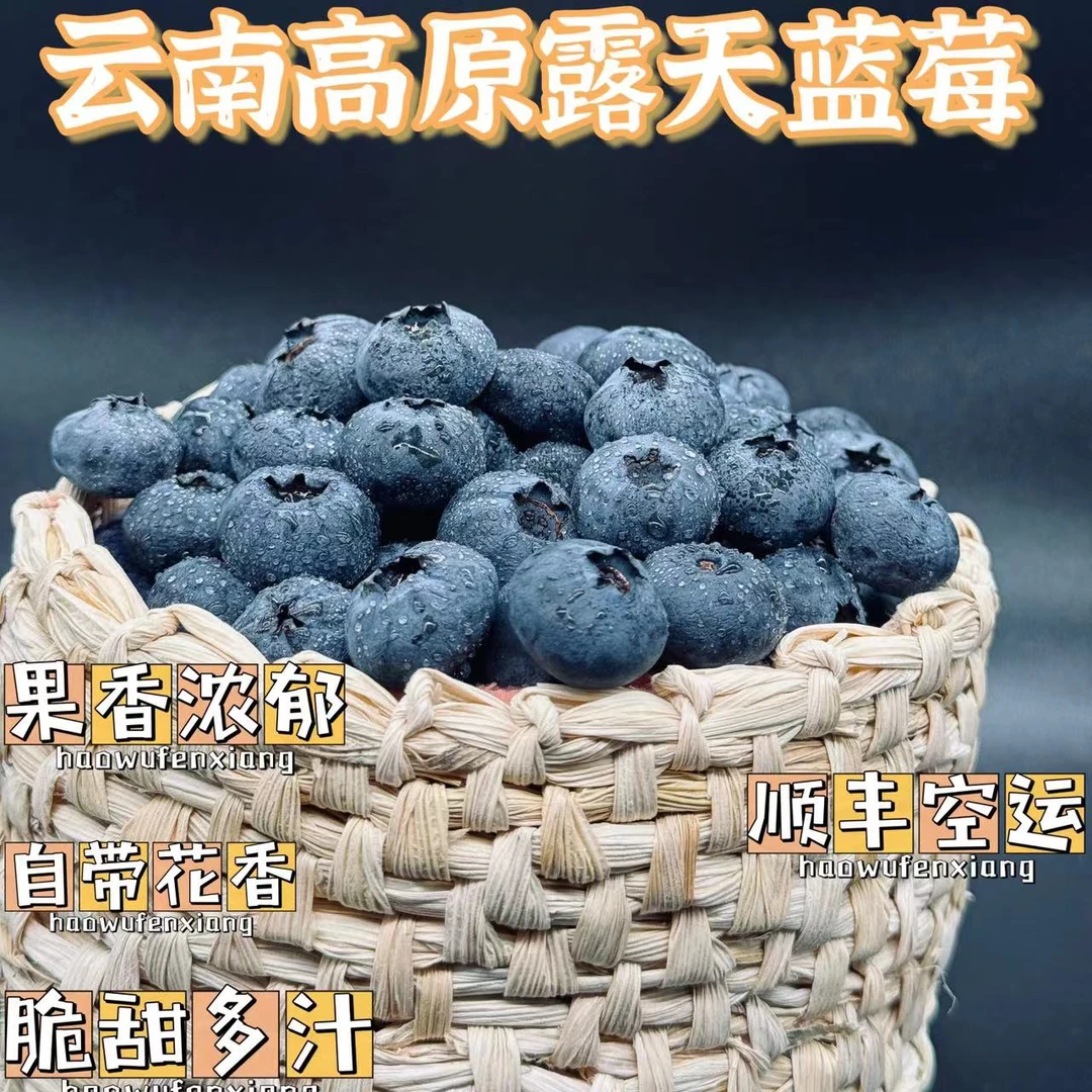 云南高山花香蓝莓现采现发