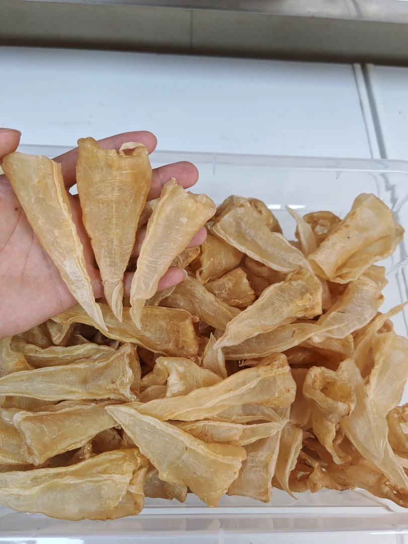 43头玻璃肉质巴西白花胶