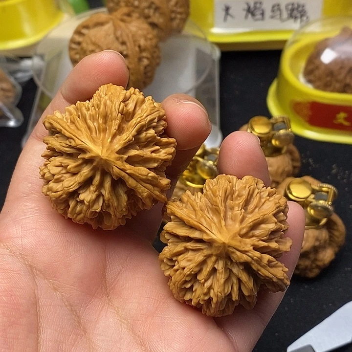 龙脊菩提吊坠太行山苹果园