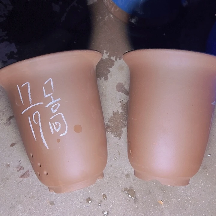 周深周深周深周深周深