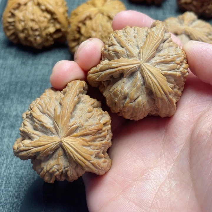 工艺三棱白狮子三棱