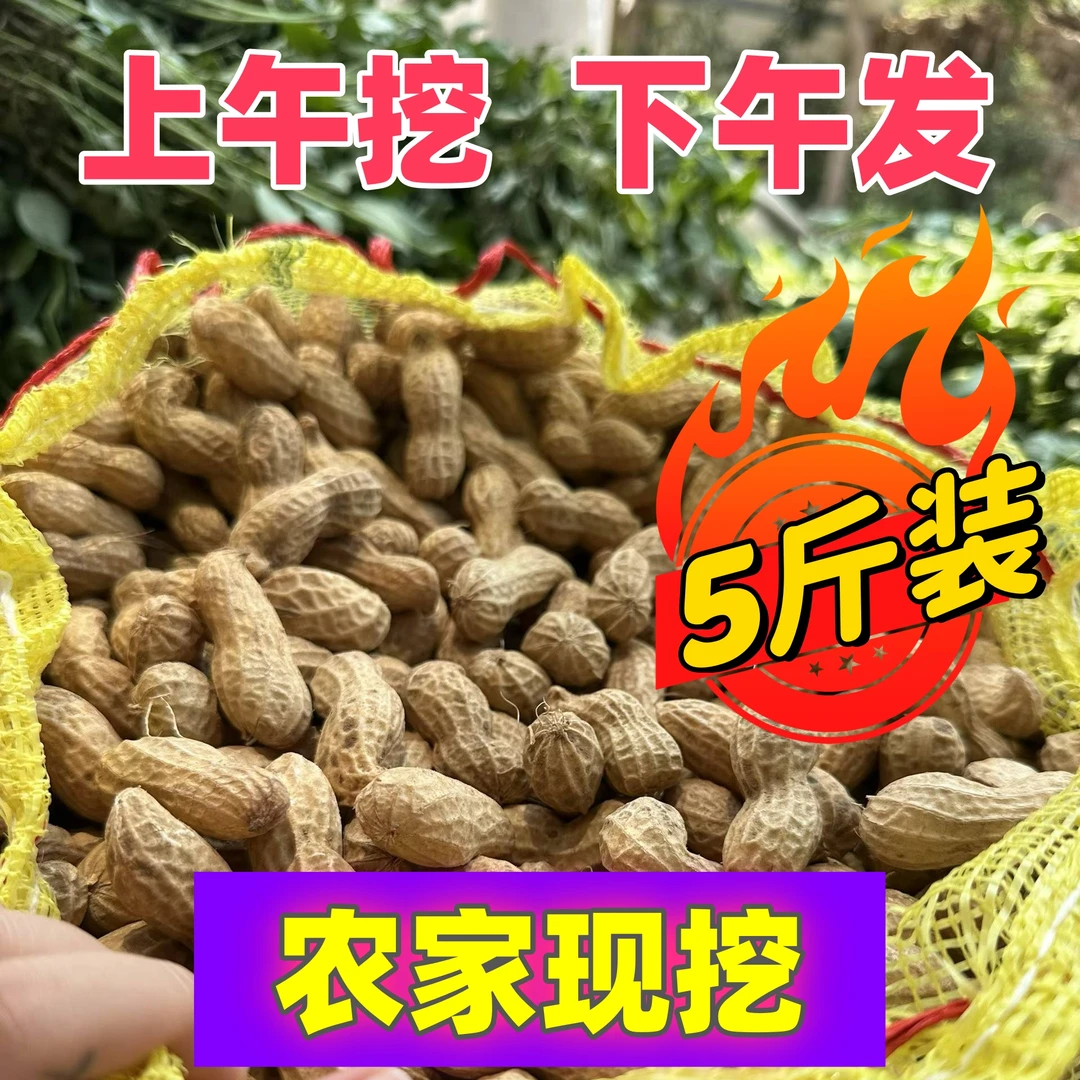 【拍3斤送2斤到手5斤】现挖现发新鲜带壳湿花生农家自种放心购