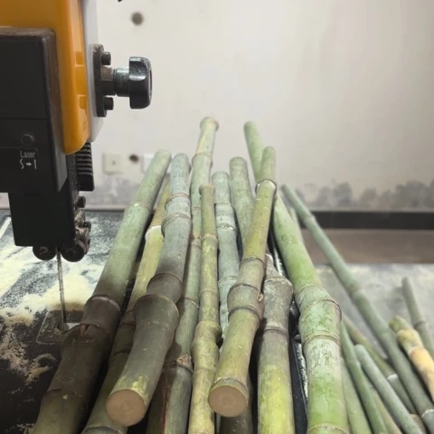 竹清***字实心竹竹竹竹竹竹竹竹竹竹