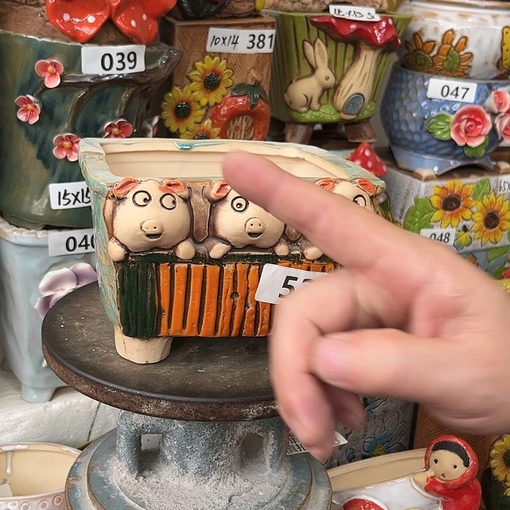 粗陶材质多肉花盆