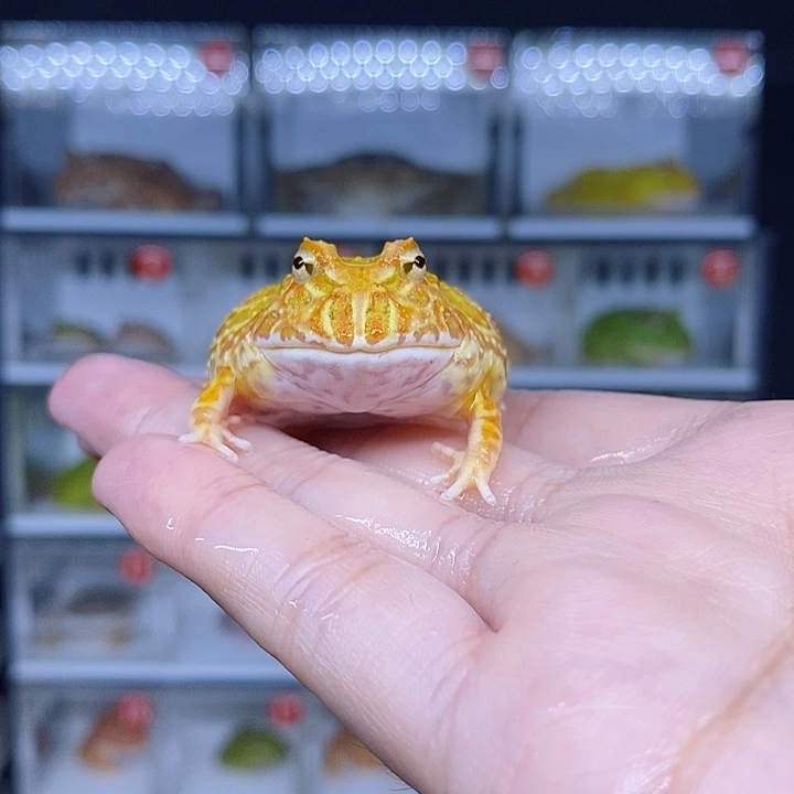 特价秒杀现货特价