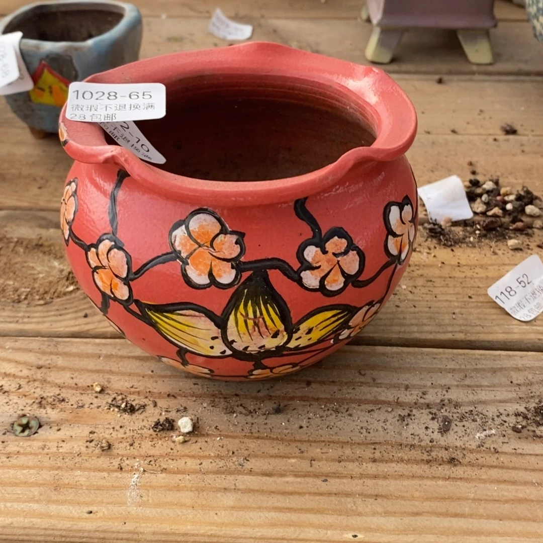 65号多肉盆口径9预告