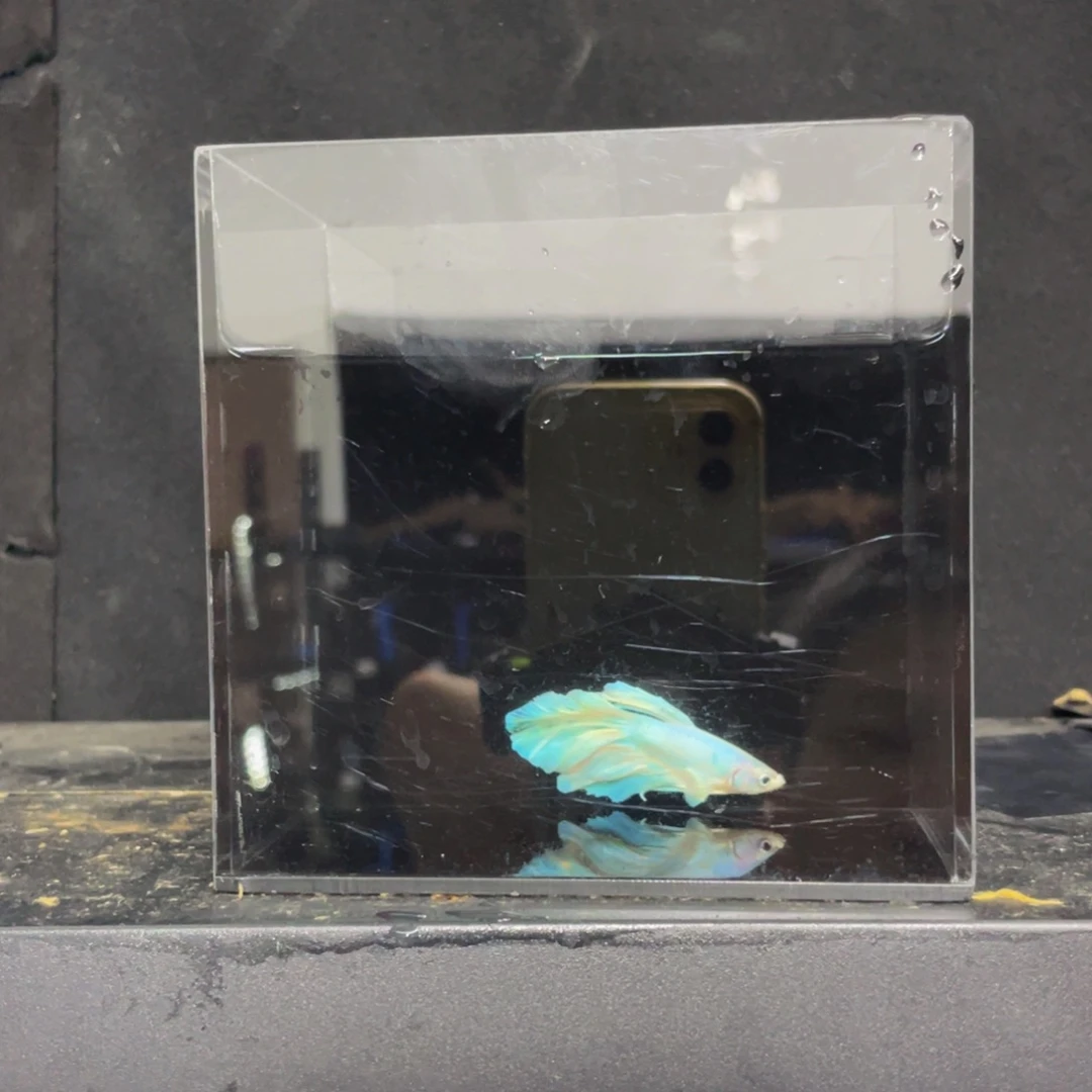 海水哈哈哈哈哈哈哈哈哈哈