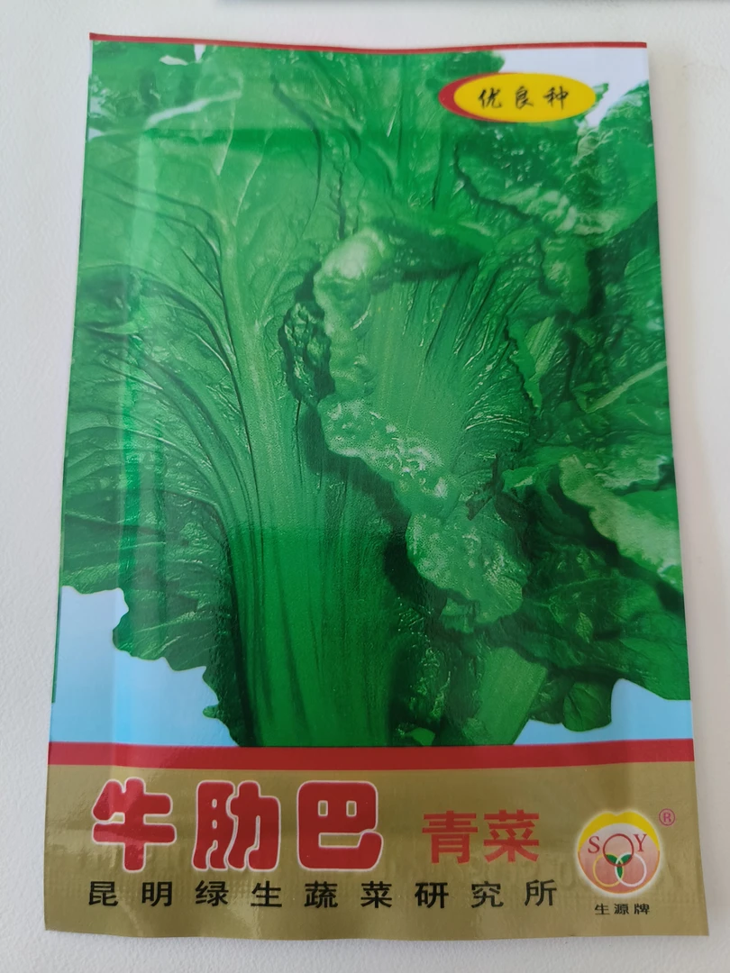 20g牛肋巴青菜种子