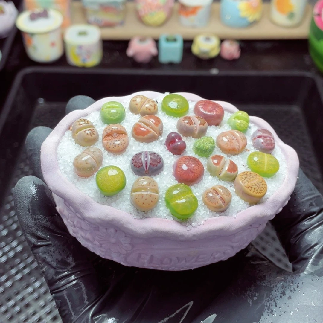 w1801--带盆土发货，零下地区拍保温箱