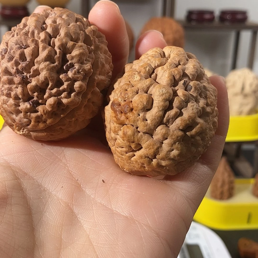 吊坠文玩核桃1**4三瓣脑纹金刚练手瑕不退不换不接受中差评