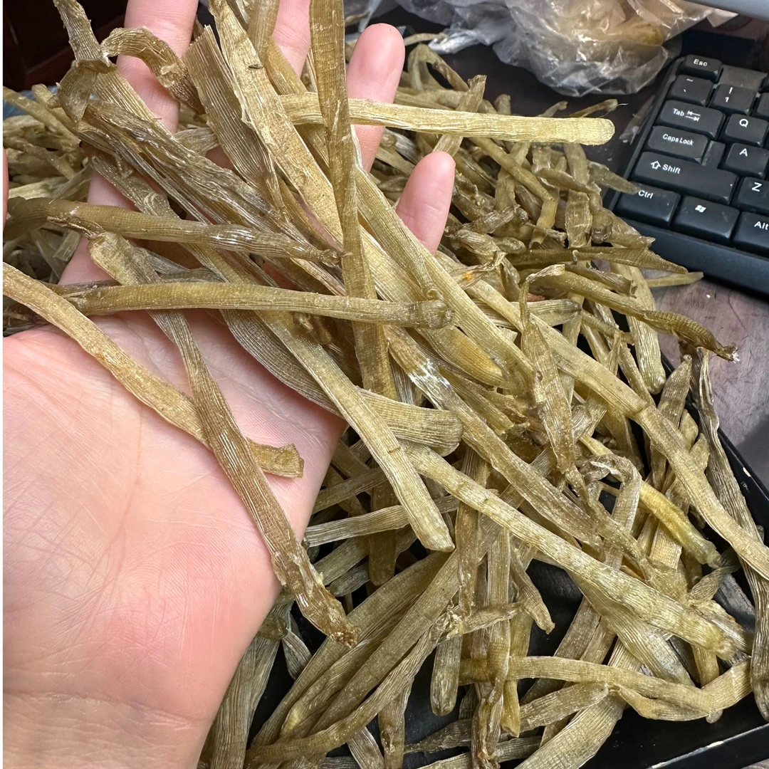 北海沙虫干 煲粥煲汤鲜甜