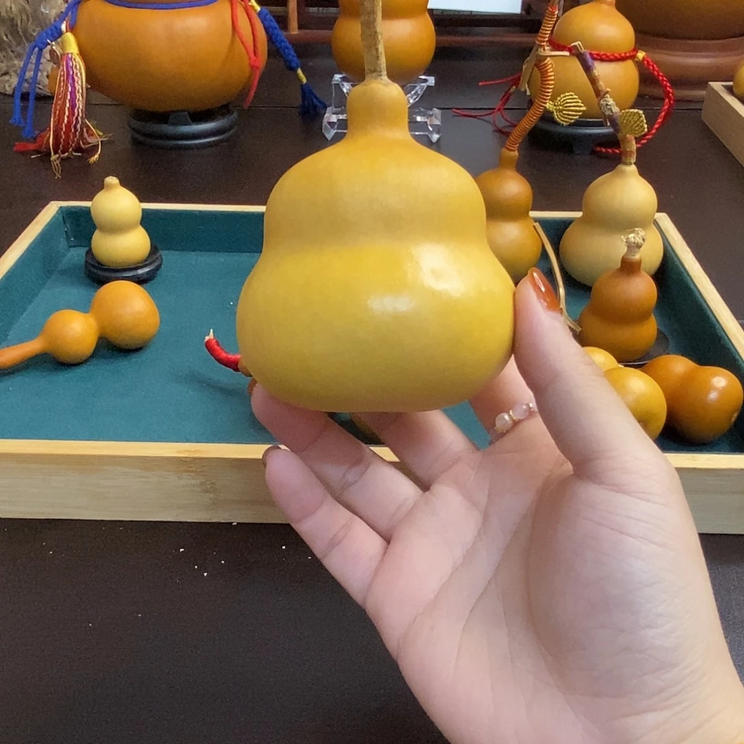 摇***圈只要你喜欢我就宠啊啊啊啊