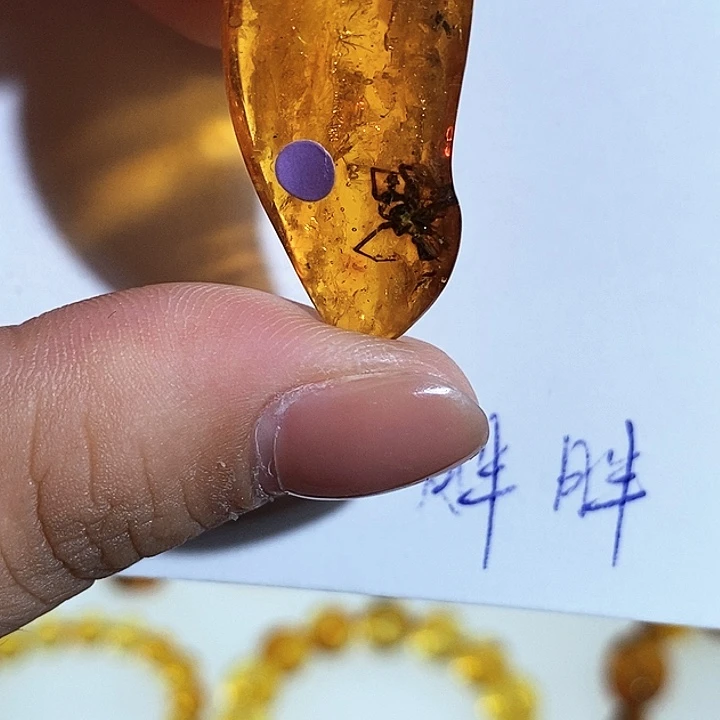 未镶嵌颈饰琥珀虫珀吊坠